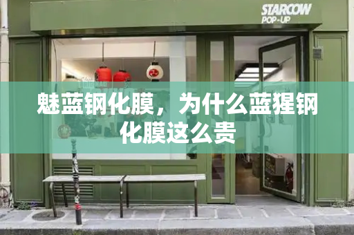 魅蓝钢化膜，为什么蓝猩钢化膜这么贵