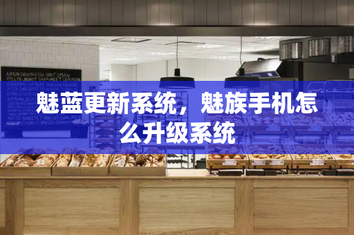 魅蓝更新系统，魅族手机怎么升级系统-第1张图片-星选测评