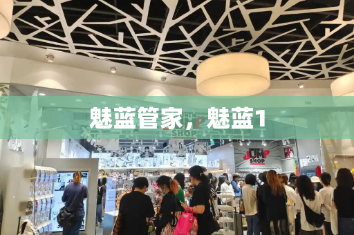 魅蓝管家，魅蓝1-第1张图片-星选测评