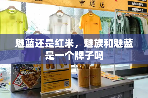 魅蓝还是红米，魅族和魅蓝是一个牌子吗