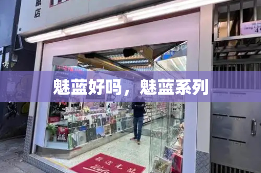 魅蓝好吗，魅蓝系列