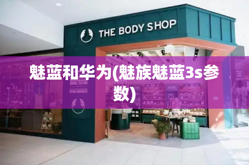 魅蓝和华为(魅族魅蓝3s参数)