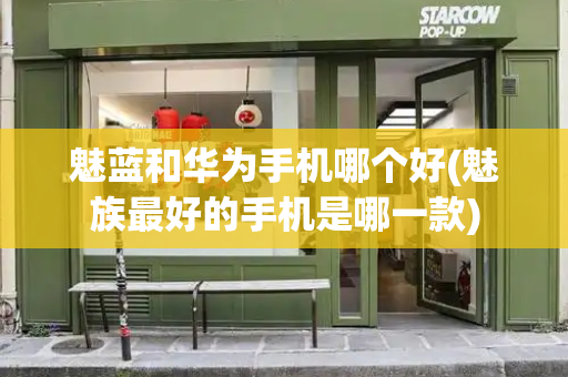 魅蓝和华为手机哪个好(魅族最好的手机是哪一款)-第1张图片-星选测评