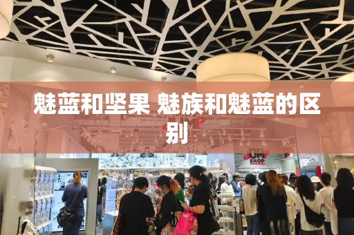 魅蓝和坚果 魅族和魅蓝的区别