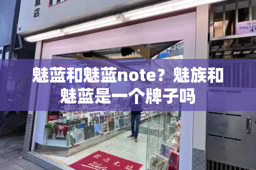 魅蓝和魅蓝note？魅族和魅蓝是一个牌子吗-第1张图片-星选测评