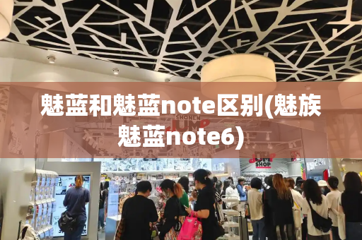魅蓝和魅蓝note区别(魅族魅蓝note6)
