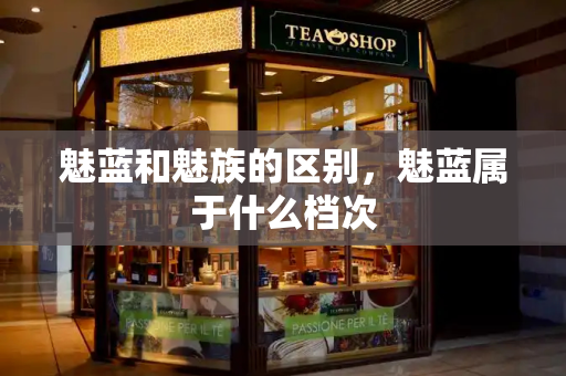 魅蓝和魅族的区别，魅蓝属于什么档次-第1张图片-星选测评