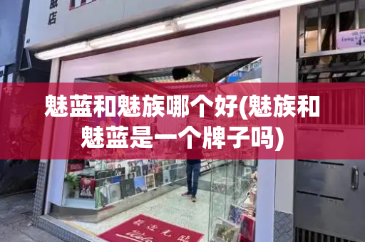 魅蓝和魅族哪个好(魅族和魅蓝是一个牌子吗)-第1张图片-星选测评