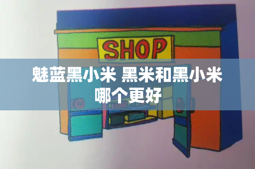 魅蓝黑小米 黑米和黑小米哪个更好
