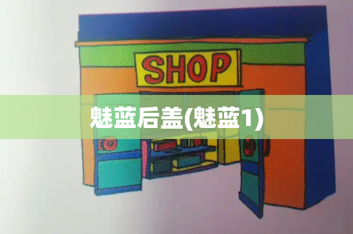 魅蓝后盖(魅蓝1)-第1张图片-星选测评