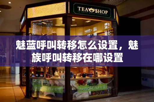 魅蓝呼叫转移怎么设置，魅族呼叫转移在哪设置-第1张图片-星选测评