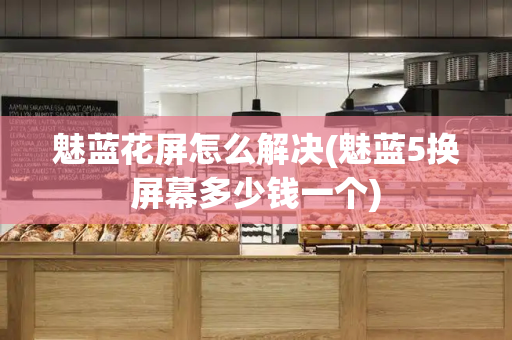 魅蓝花屏怎么解决(魅蓝5换屏幕多少钱一个)