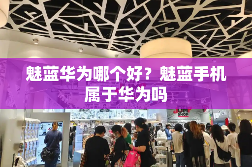 魅蓝华为哪个好？魅蓝手机属于华为吗-第1张图片-星选测评