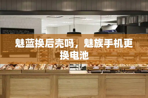魅蓝换后壳吗，魅族手机更换电池-第1张图片-星选测评