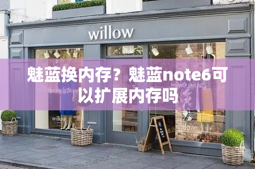 魅蓝换内存？魅蓝note6可以扩展内存吗-第1张图片-星选测评