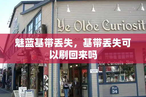 魅蓝基带丢失，基带丢失可以刷回来吗