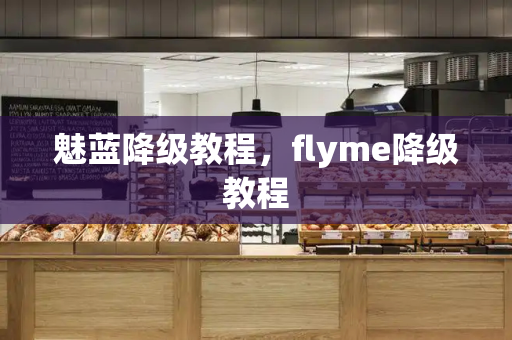 魅蓝降级教程，flyme降级教程
