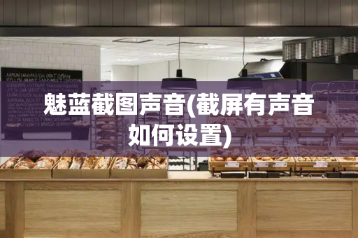 魅蓝截图声音(截屏有声音如何设置)-第1张图片-星选测评