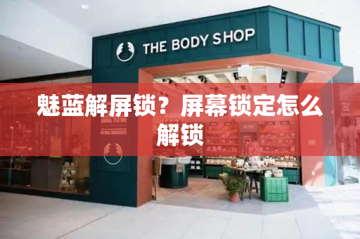 魅蓝解屏锁？屏幕锁定怎么解锁-第1张图片-星选测评
