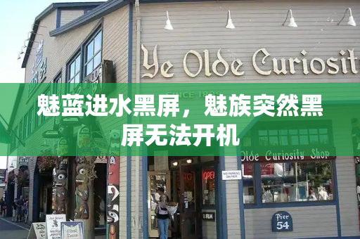 魅蓝进水黑屏，魅族突然黑屏无法开机