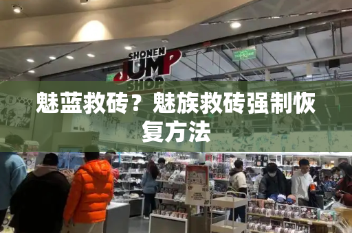 魅蓝救砖？魅族救砖强制恢复方法-第1张图片-星选测评