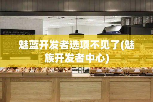 魅蓝开发者选项不见了(魅族开发者中心)