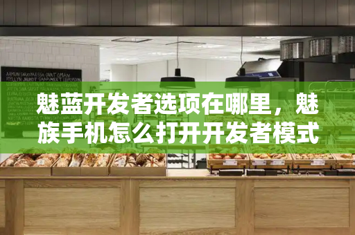 魅蓝开发者选项在哪里，魅族手机怎么打开开发者模式