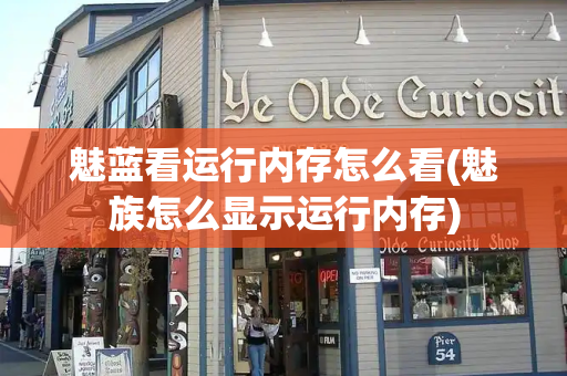 魅蓝看运行内存怎么看(魅族怎么显示运行内存)