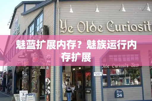 魅蓝扩展内存？魅族运行内存扩展-第1张图片-星选测评
