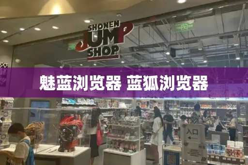 魅蓝浏览器 蓝狐浏览器-第1张图片-星选测评