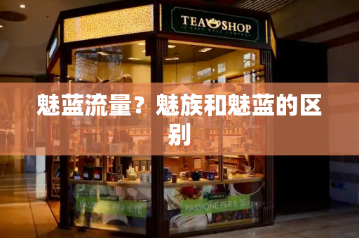 魅蓝流量？魅族和魅蓝的区别