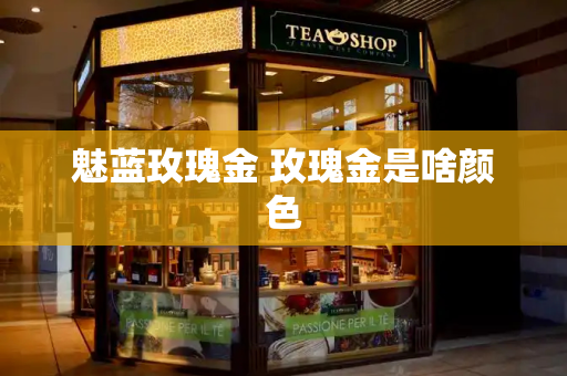 魅蓝玫瑰金 玫瑰金是啥颜色