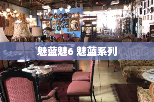 魅蓝魅6 魅蓝系列