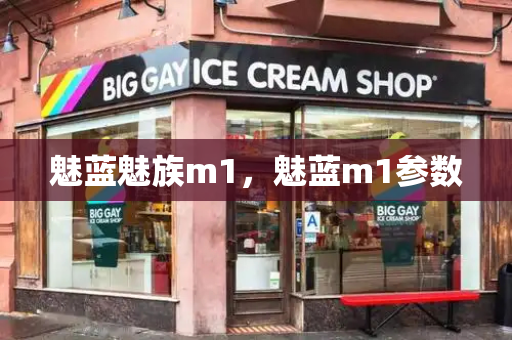 魅蓝魅族m1，魅蓝m1参数-第1张图片-星选测评