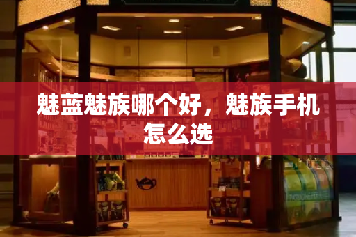 魅蓝魅族哪个好，魅族手机怎么选-第1张图片-星选测评