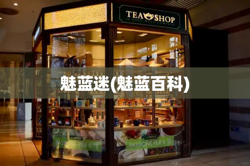 魅蓝迷(魅蓝百科)