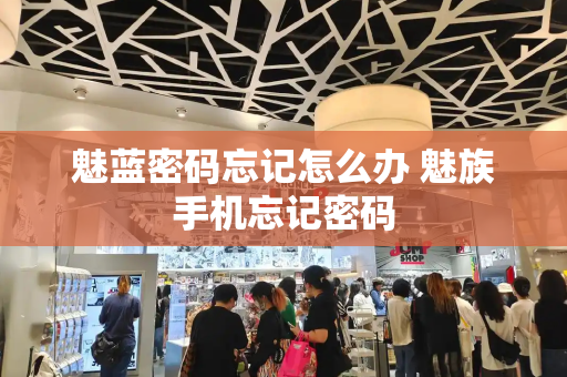 魅蓝密码忘记怎么办 魅族手机忘记密码