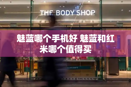 魅蓝哪个手机好 魅蓝和红米哪个值得买-第1张图片-星选测评