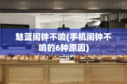 魅蓝闹钟不响(手机闹钟不响的6种原因)-第1张图片-星选测评