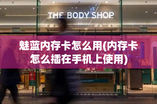 魅蓝内存卡怎么用(内存卡怎么插在手机上使用)-第1张图片-星选测评