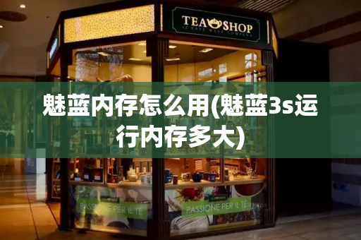 魅蓝内存怎么用(魅蓝3s运行内存多大)