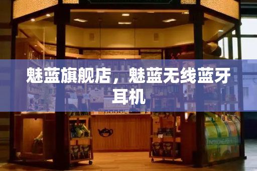魅蓝旗舰店，魅蓝无线蓝牙耳机-第1张图片-星选测评