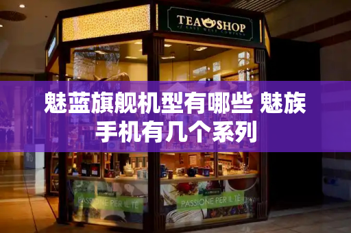 魅蓝旗舰机型有哪些 魅族手机有几个系列-第1张图片-星选测评