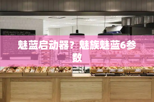 魅蓝启动器？魅族魅蓝6参数