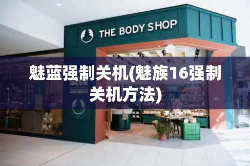 魅蓝强制关机(魅族16强制关机方法)-第1张图片-星选测评