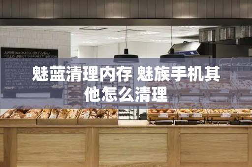 魅蓝清理内存 魅族手机其他怎么清理-第1张图片-星选测评