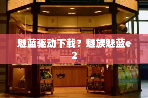 魅蓝驱动下载？魅族魅蓝e2-第1张图片-星选测评