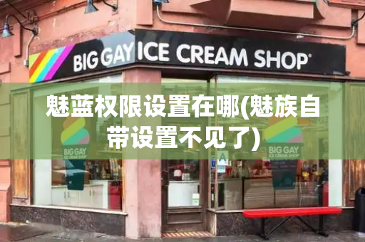 魅蓝权限设置在哪(魅族自带设置不见了)