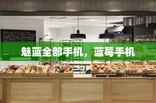 魅蓝全部手机，蓝莓手机