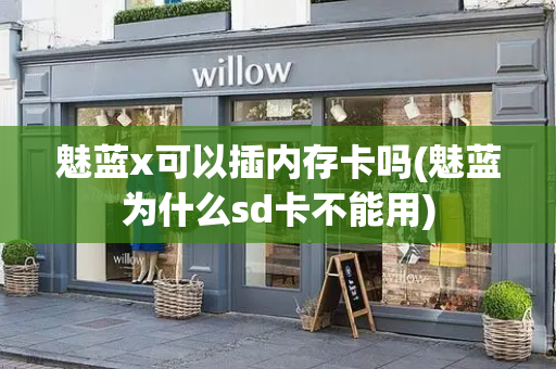 魅蓝x可以插内存卡吗(魅蓝为什么sd卡不能用)